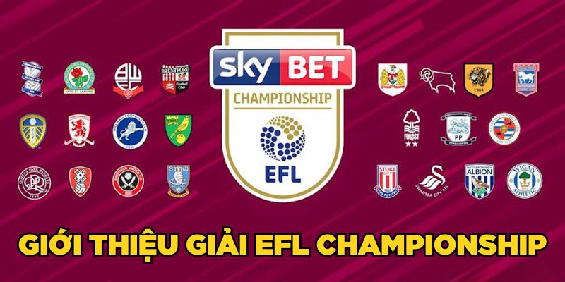 Giới thiệu giải EFL Championship