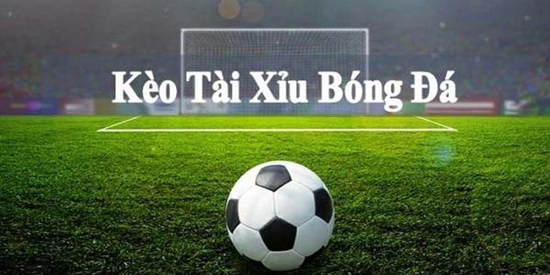 Trong tài xỉu, người chơi sẽ không cần để ý đến việc đội bóng giành thắng lợi